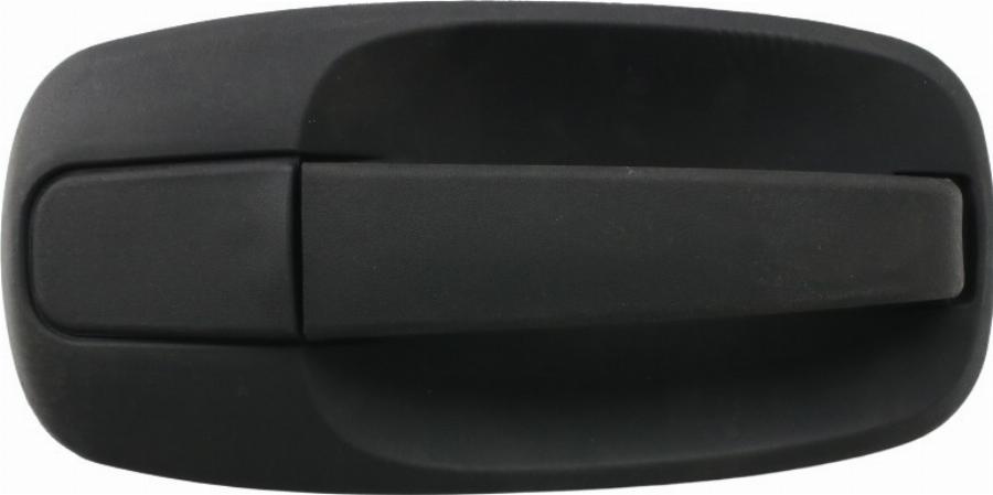 Fast FT94305 - Ручка двері autozip.com.ua