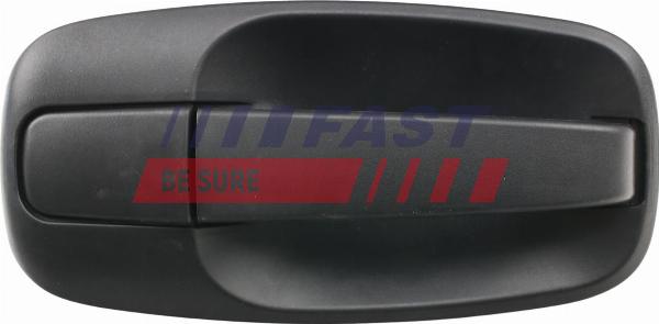 Fast FT94306 - Ручка двері autozip.com.ua