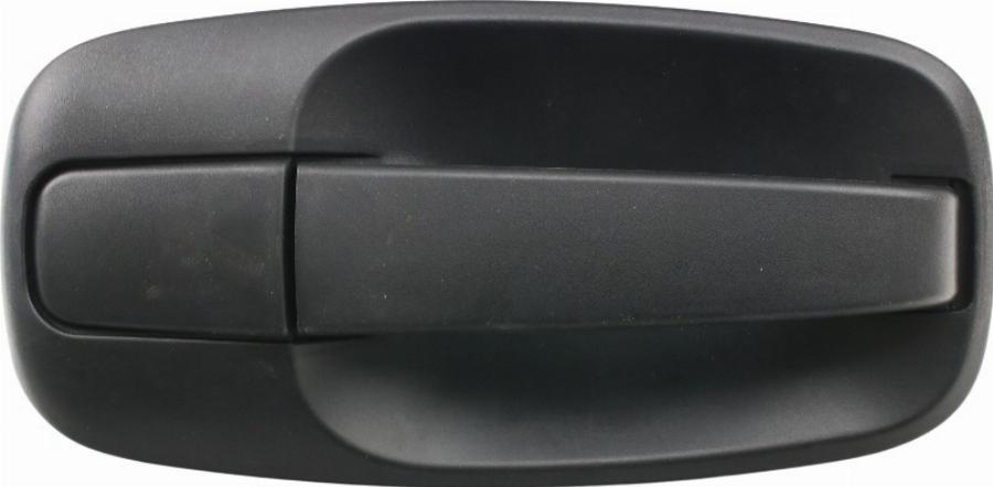 Fast FT94306 - Ручка двері autozip.com.ua