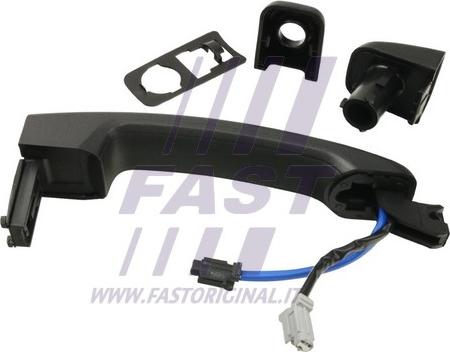 Fast FT94313 - Ручка двері autozip.com.ua