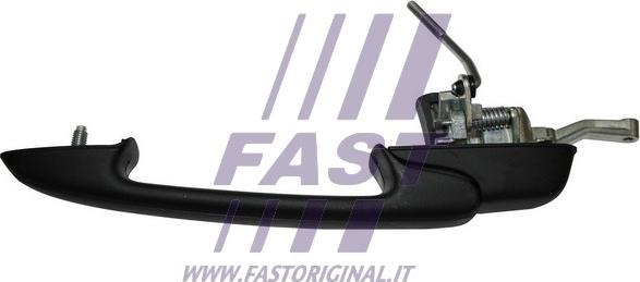 Fast FT94226 - Ручка двері autozip.com.ua
