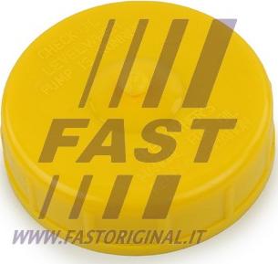 Fast FT94743 - Кільце ущільнювача, пробка - насос гідропідсилювача autozip.com.ua