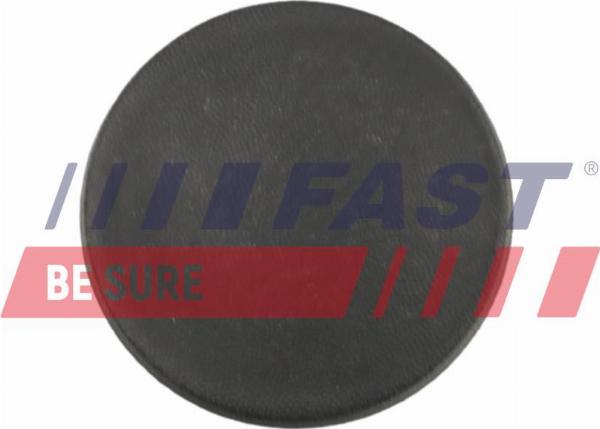 Fast FT96904 - Обшивка двері autozip.com.ua