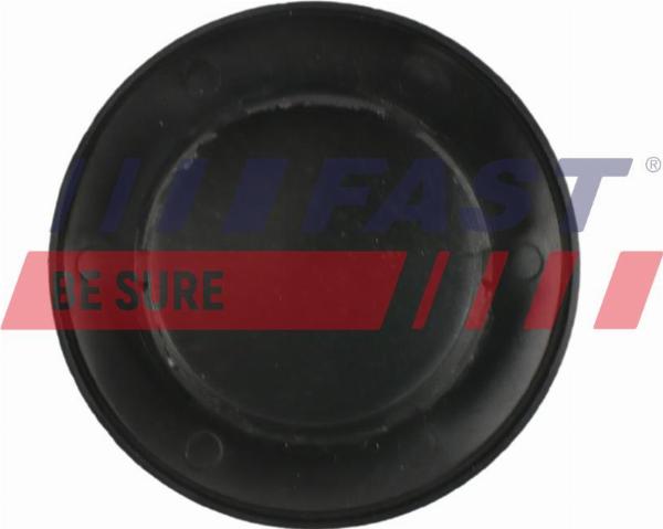 Fast FT96904 - Обшивка двері autozip.com.ua