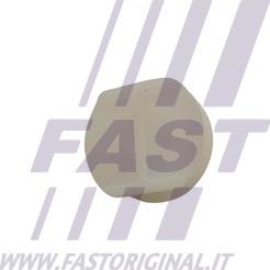 Fast FT96601 - Зажим, молдинг / захисна накладка autozip.com.ua