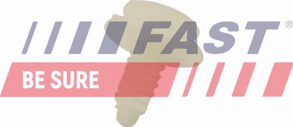 Fast FT96311 - Зажим, молдинг / захисна накладка autozip.com.ua