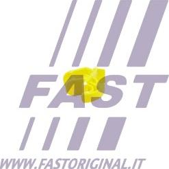 Fast FT96312 - Зажим, молдинг / захисна накладка autozip.com.ua