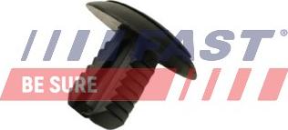 Fast FT96324 - Зажим, молдинг / захисна накладка autozip.com.ua