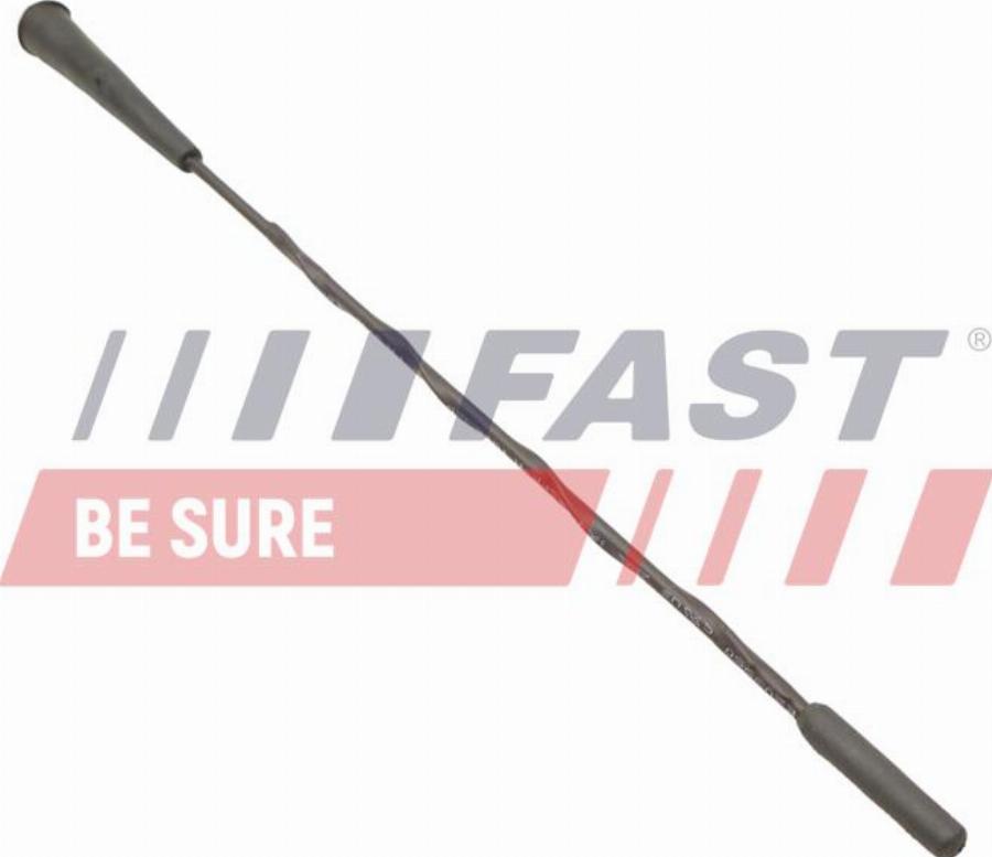Fast FT92522 - Антена autozip.com.ua