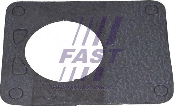 Fast FT49901 - Прокладка, вакуумний насос autozip.com.ua