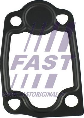 Fast FT49903 - Прокладка термостата Citroen-Fiat-Peugeot 3.0 Hdi 06- autozip.com.ua