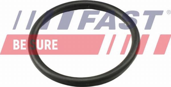Fast FT49917 - Прокладка, термостат autozip.com.ua
