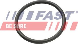Fast FT49935 - Ущільнювальне кільце, шланг охолоджуючої рідини autozip.com.ua