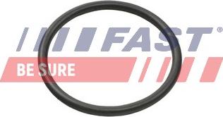 Fast FT49935 - Ущільнювальне кільце, шланг охолоджуючої рідини autozip.com.ua