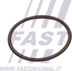 Fast FT49933 - Кільце ущільнювача, трубка, що нагнітається autozip.com.ua