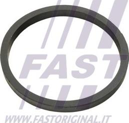 Fast FT49924 - Прокладка, масляний радіатор autozip.com.ua