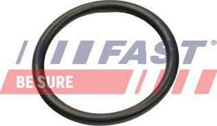 Fast FT49927 - Прокладка, трубопровід охолоджую autozip.com.ua