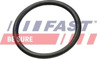 Fast FT49927 - Прокладка, трубопровід охолоджую autozip.com.ua