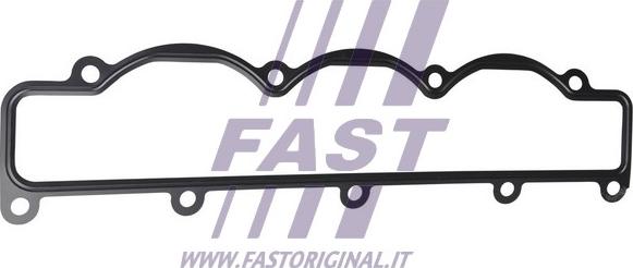 Fast FT49499 - Прокладка IN колектора Fiat Ducato 2.3JD 06- autozip.com.ua