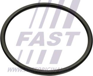 Fast FT49460 - Прокладка, впускний колектор autozip.com.ua