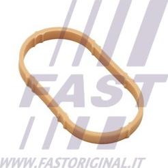 Fast FT49461 - Прокладка, впускний колектор autozip.com.ua
