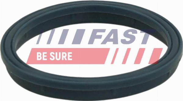 Fast FT49407 - Прокладка, впускний колектор autozip.com.ua