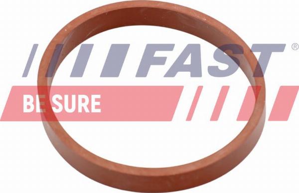 Fast FT49418 - Прокладка, впускний колектор autozip.com.ua