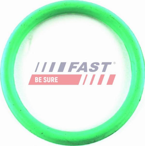 Fast FT49434 - Прокладка, впускний колектор autozip.com.ua