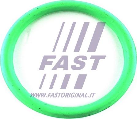Fast FT49434 - Прокладка, впускний колектор autozip.com.ua