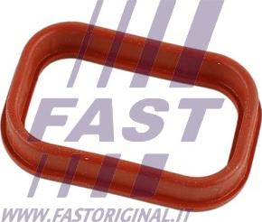 Fast FT49435 - Прокладка, впускний колектор autozip.com.ua