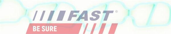 Fast FT49436 - Прокладка, впускний колектор autozip.com.ua