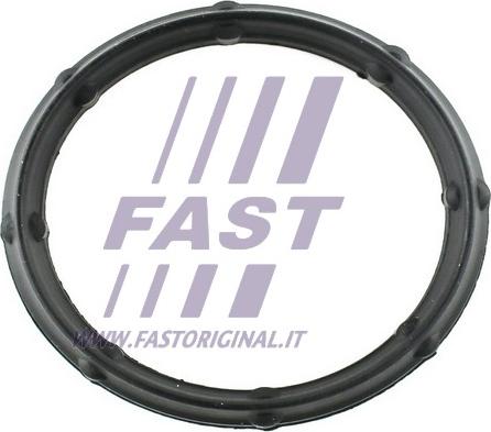 Fast FT49424 - Прокладка, впускний колектор autozip.com.ua