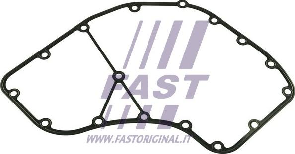 Fast FT49064 - Прокладка, картер рульового механізму autozip.com.ua