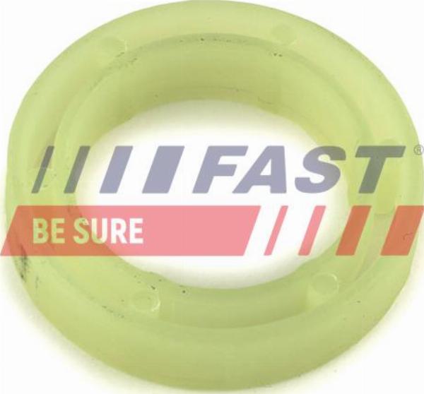 Fast FT49844 - Шайба теплового захисту, система уприскування autozip.com.ua