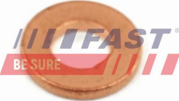 Fast FT49848 - Шайба теплового захисту, система уприскування autozip.com.ua