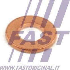 Fast FT49848 - Шайба медная под форсунку Fiat Ducato 2.2 JTD 06- FT49848 Fast autozip.com.ua