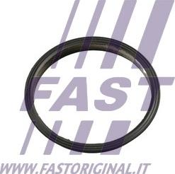 Fast FT49853 - Прокладка, вакуумний насос autozip.com.ua