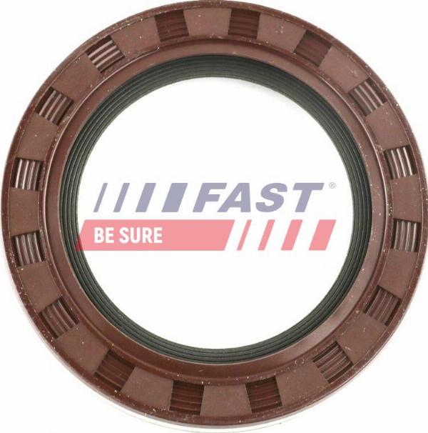 Fast FT49758 - Ущільнене кільце, диференціал autozip.com.ua
