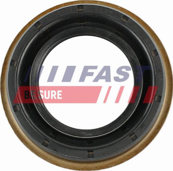 Fast FT49717 - Ущільнене кільце, диференціал autozip.com.ua