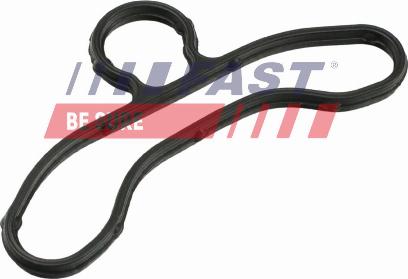 Fast FT41604 - Прокладка, картер рульового механізму autozip.com.ua