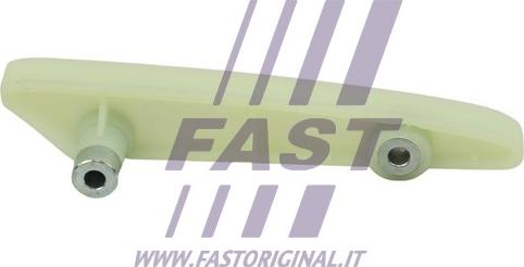 Fast FT41704 - Планка заспокоювача, ланцюг приводу autozip.com.ua