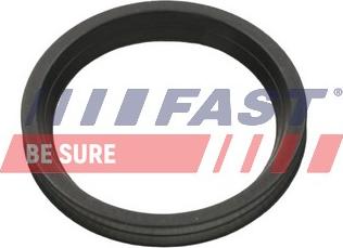 Fast FT48956 - Кільце ущільнювача, трубка, що нагнітається autozip.com.ua