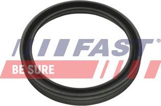 Fast FT48956 - Кільце ущільнювача, трубка, що нагнітається autozip.com.ua