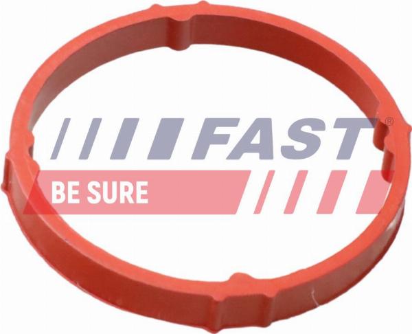 Fast FT48958 - Шланг, воздухоотвод кришки головки циліндра autozip.com.ua