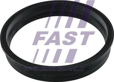 Fast FT48505 - Прокладка, датчик рівня палива autozip.com.ua