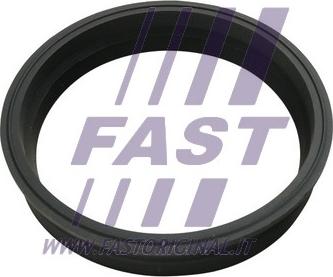 Fast FT48501 - Прокладка, датчик рівня палива autozip.com.ua