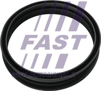 Fast FT48501 - Прокладка паливного бака Fiat Punto-VW Golf IV-Polo autozip.com.ua