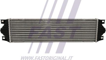 Fast FT55595 - Интеркулер autozip.com.ua