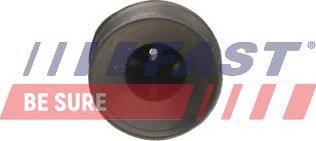 Fast FT55811 - Підвіска, радіатор autozip.com.ua