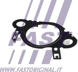 Fast FT50604 - Прокладка, клапан повернення ОГ autozip.com.ua